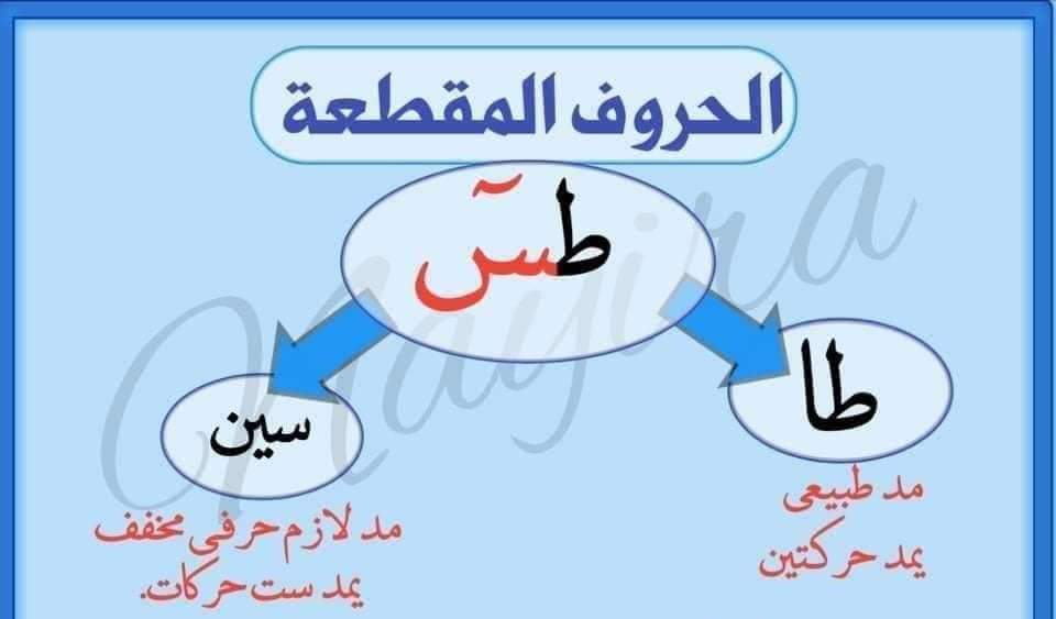 طس